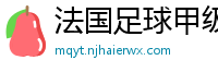 法国足球甲级联赛